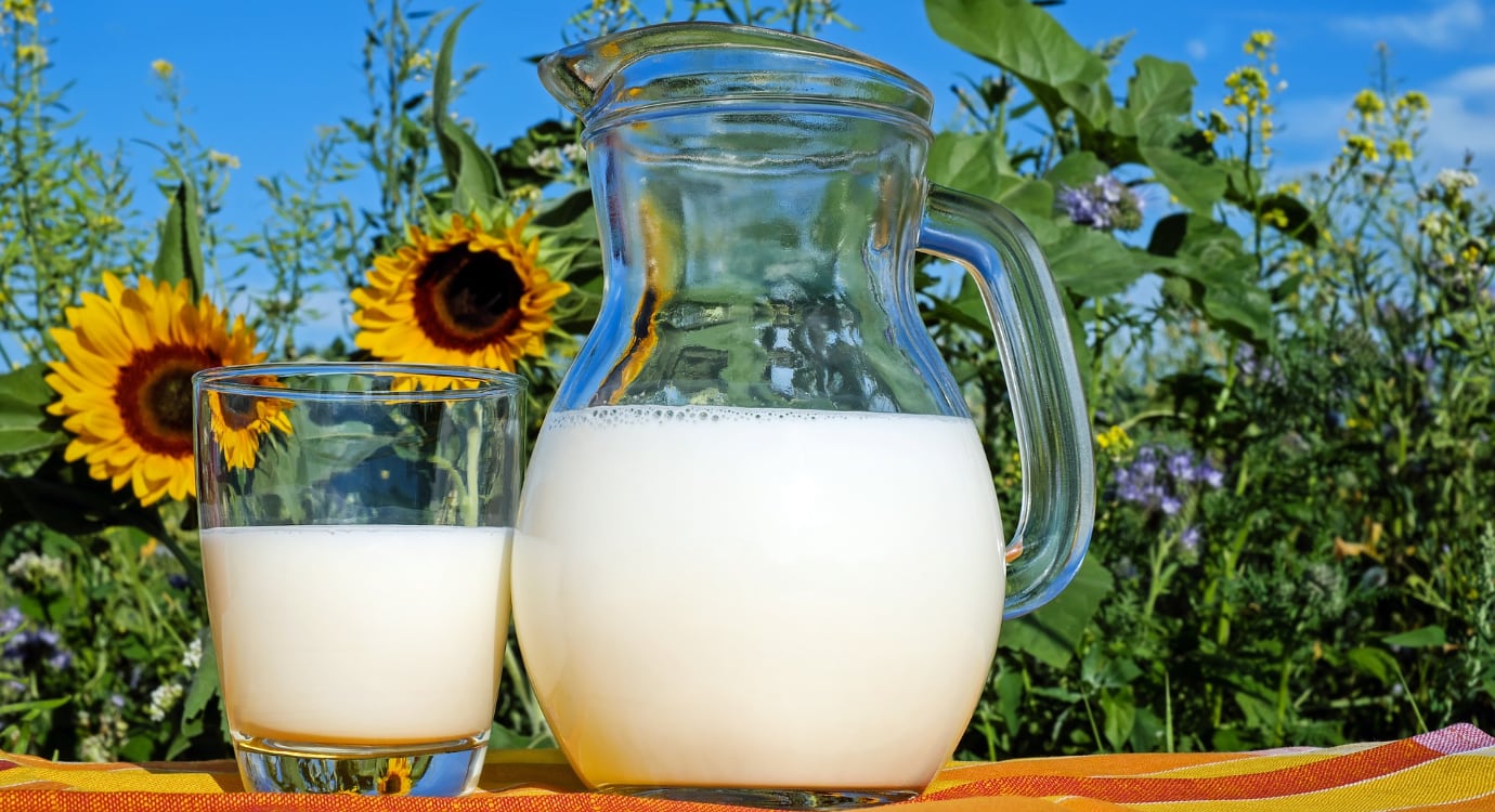 mleko-protein-slunecnice-zdravi